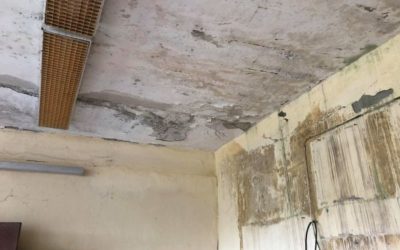 (FOTO/VIDEO) Unioniștii bat alarma! Unica școală românească din raionul Taraclia riscă să fie ÎNCHISĂ