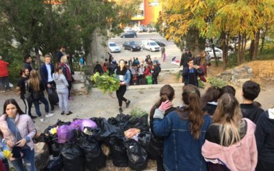 (FOTO) Unioniștii au salubrizat Cimitirul Eroilor Români din Chișinău